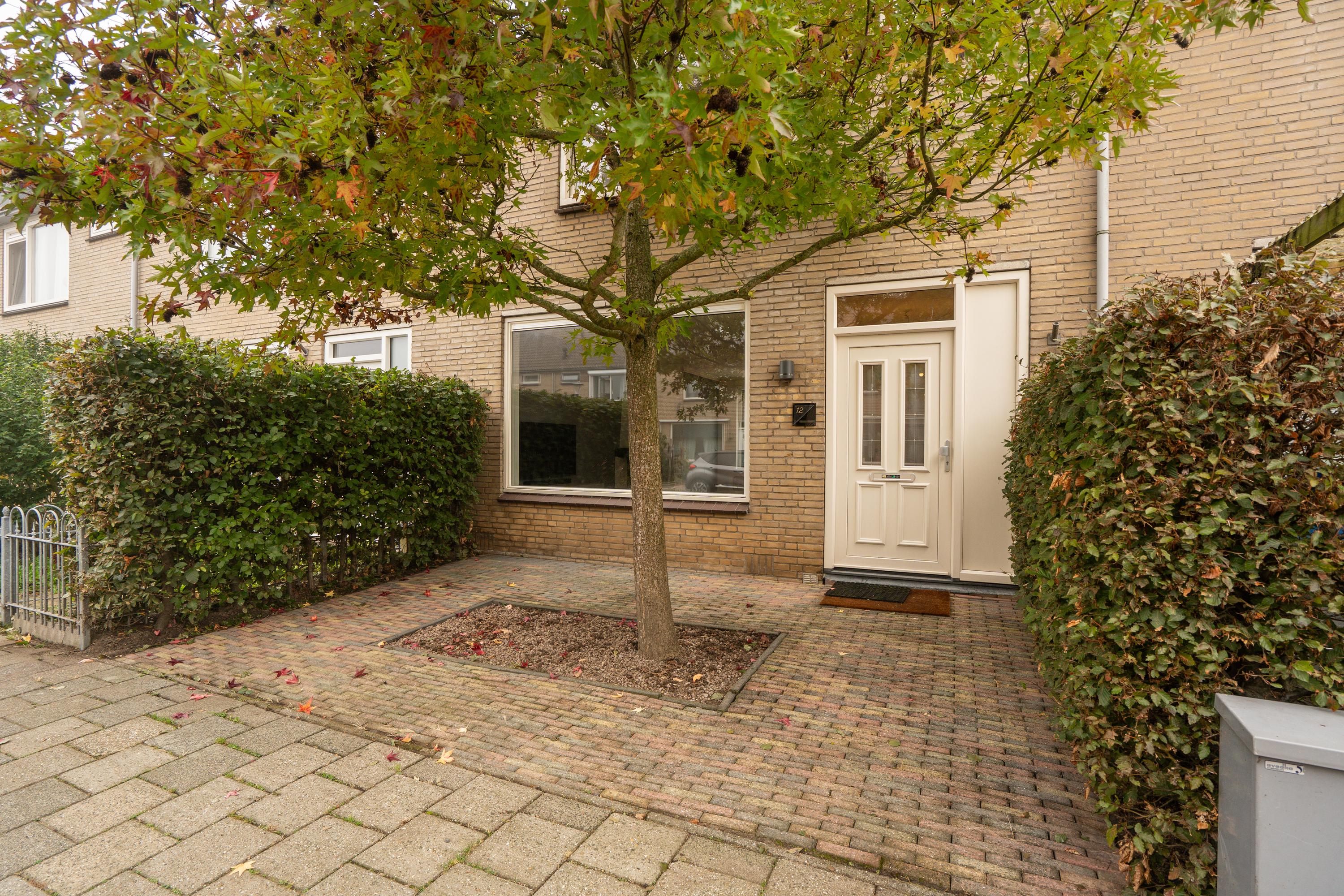 Pinksterbloemstraat 12, afbeelding 0