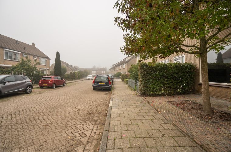 Afbeelding 47