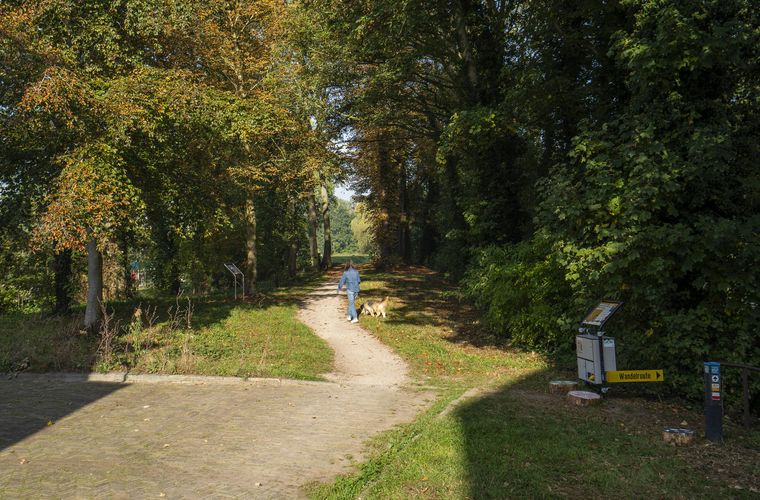 Afbeelding 22