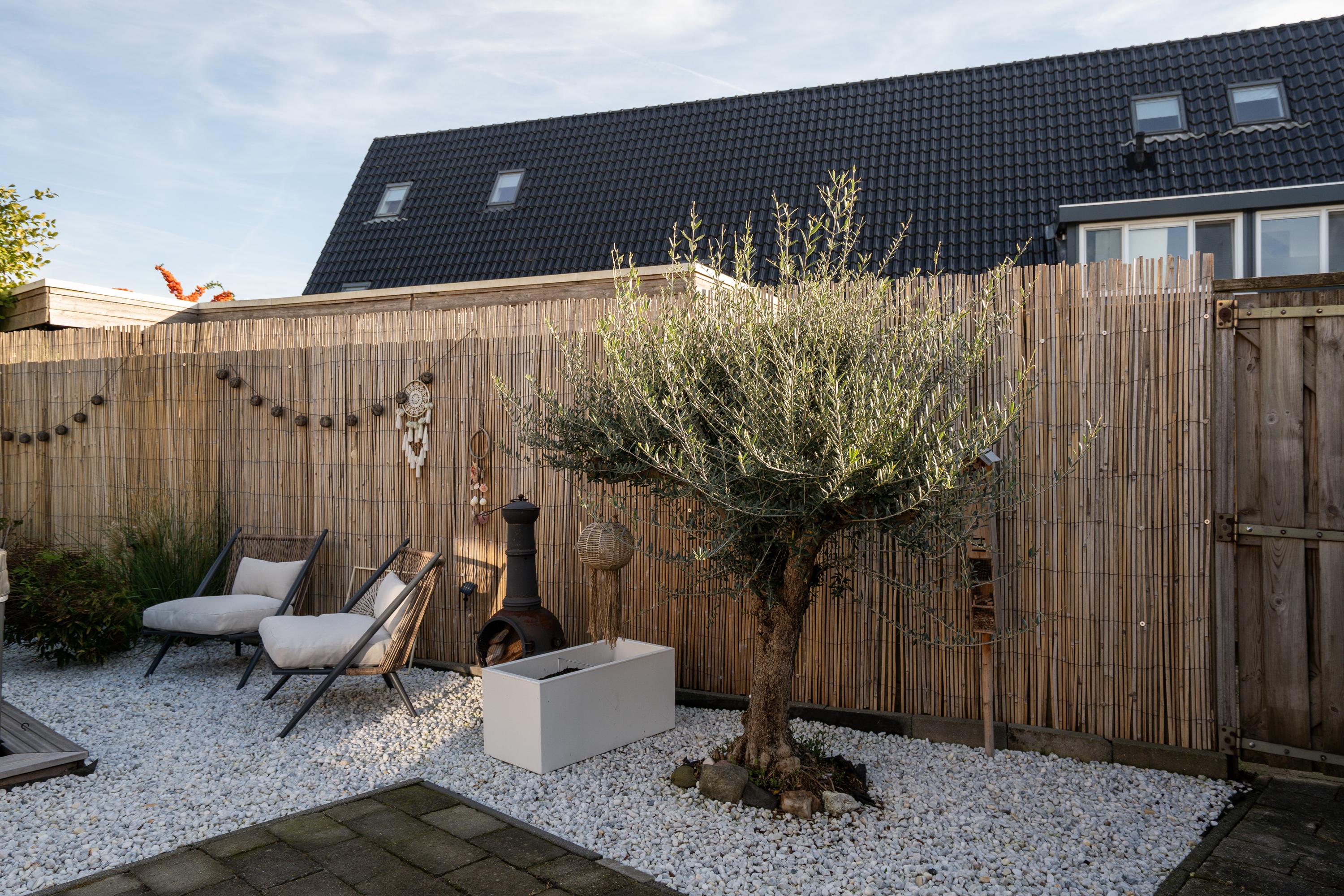 Jonagold 10, afbeelding 20