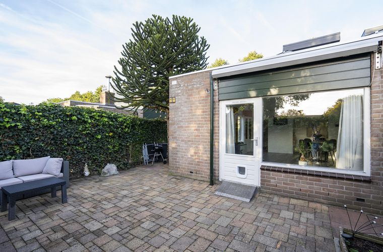 Afbeelding 25