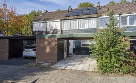 P.J. Troelstrastraat 38