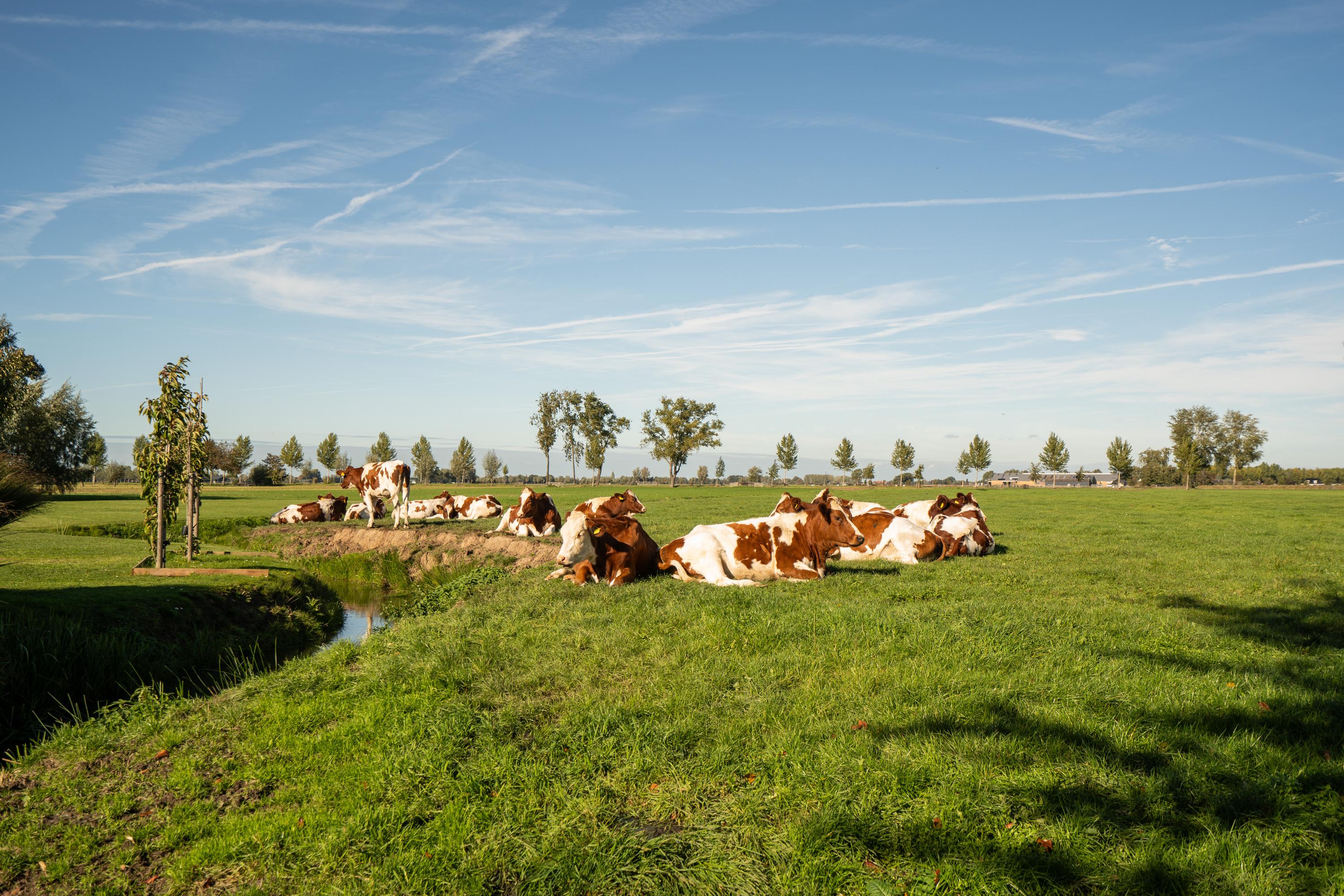 Onderweg 12, afbeelding 39