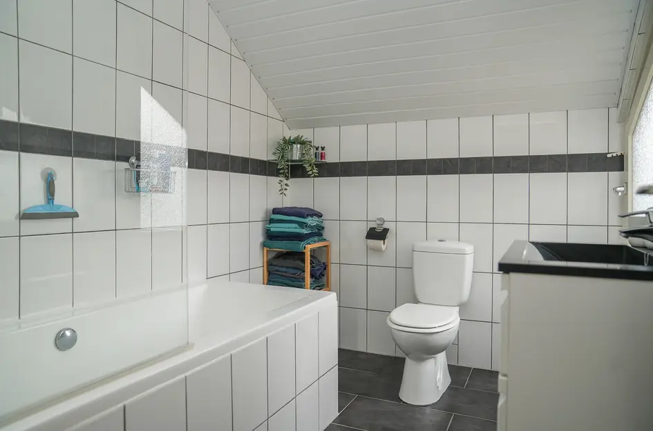 De Bongerd 26