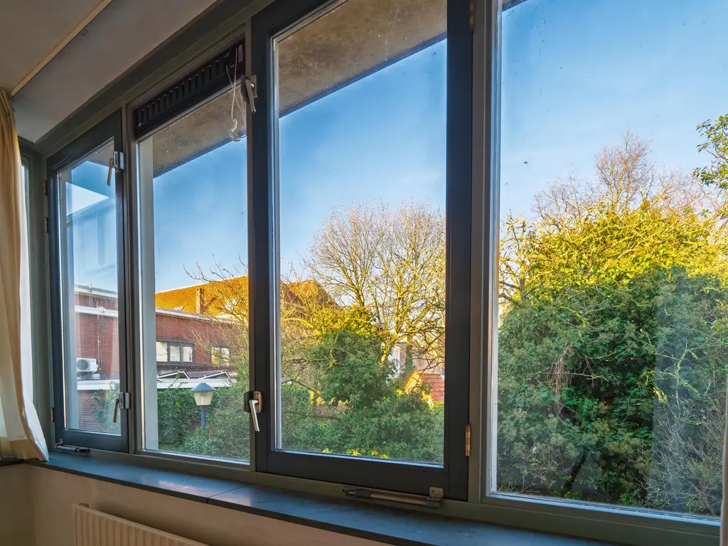 Blauwe Haansteeg 8, GORINCHEM