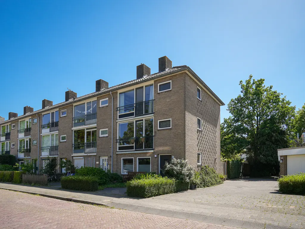 Nicolaas Pieckstraat 29, GORINCHEM