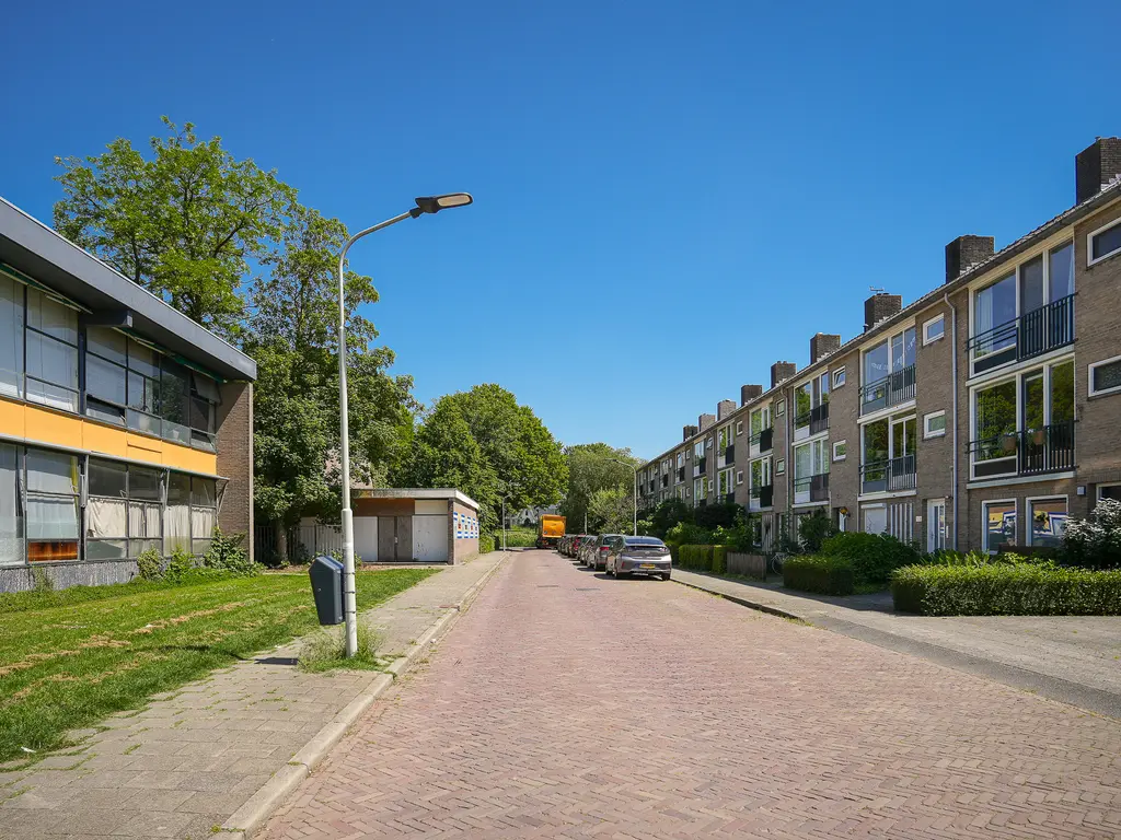Nicolaas Pieckstraat 29, GORINCHEM