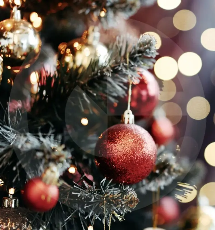 Samen veilig het nieuwe jaar in