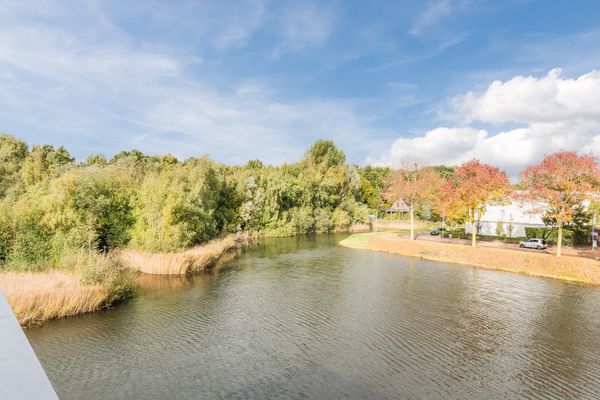 Priemkruid 100, BREDA