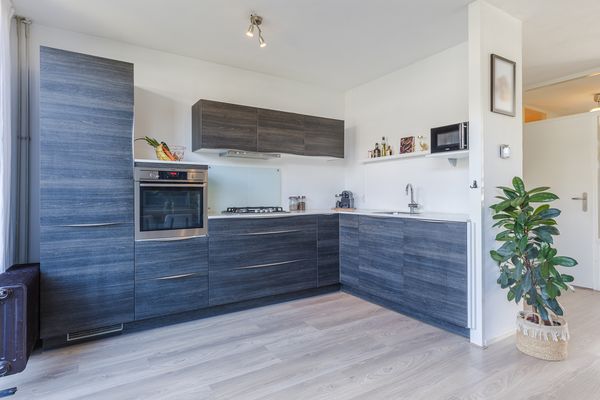 Sirius 20, OOSTERHOUT