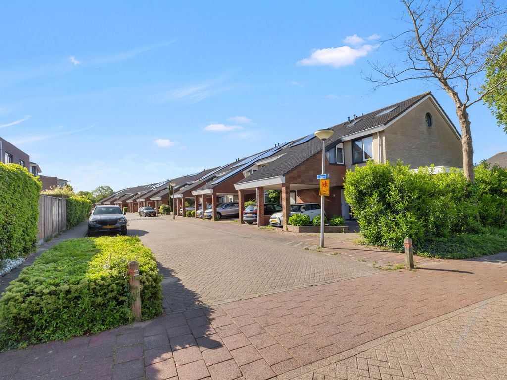 Kogge 12, BRIELLE