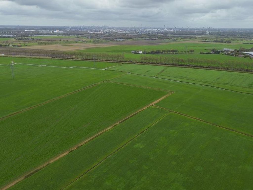 Veckdijk 10, VIERPOLDERS