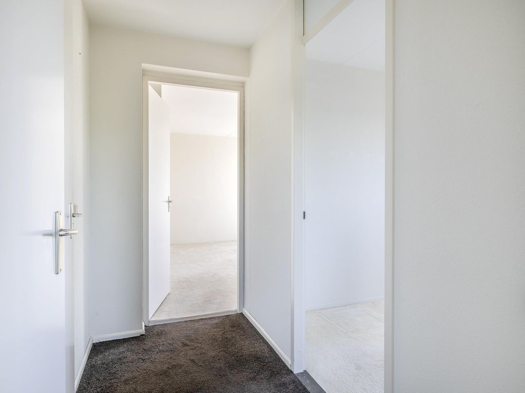 Honte 402, BRIELLE