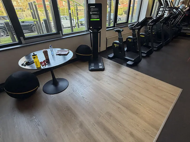 Fitness Paradise