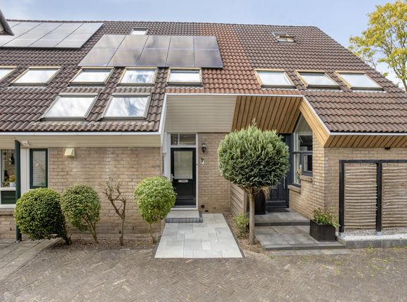 Sonsbeek 3