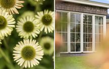 Polderdijk 18D, MAASDAM