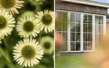 Polderdijk 18D, MAASDAM