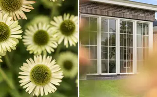 Polderdijk 18D, MAASDAM