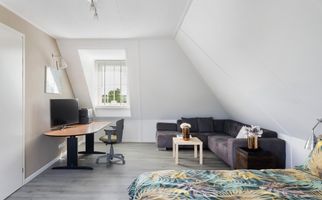 Polderdijk 18D, MAASDAM