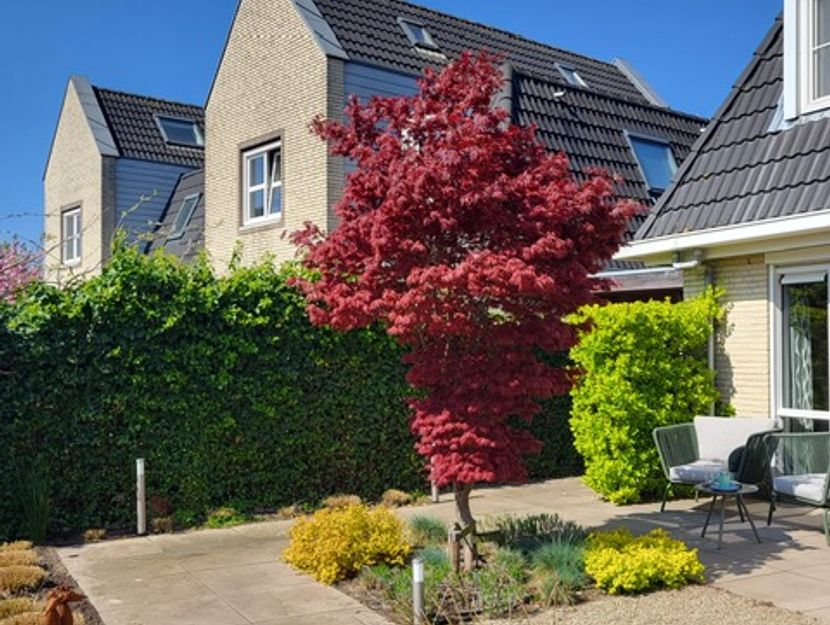 Hooftlaantje 106, HENDRIK-IDO-AMBACHT