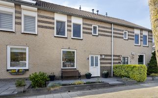 Suite 5, ZWIJNDRECHT
