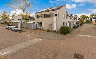 Sonate 10, ZWIJNDRECHT