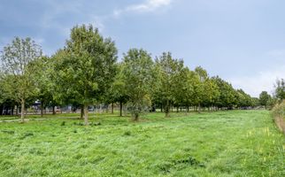 Smidshoef 15, HENDRIK-IDO-AMBACHT