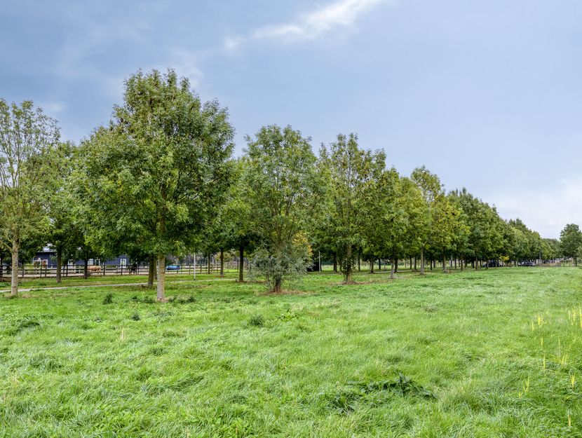 Smidshoef 15, HENDRIK-IDO-AMBACHT
