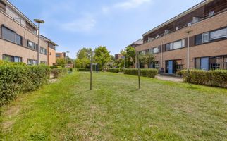 Dotterbloem 16, HENDRIK-IDO-AMBACHT