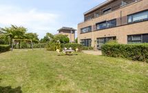 Dotterbloem 16, HENDRIK-IDO-AMBACHT