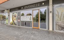 Sophiapromenade 38, HENDRIK-IDO-AMBACHT