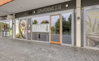 Sophiapromenade 38, HENDRIK-IDO-AMBACHT
