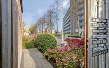 Brederodehof 49, HENDRIK-IDO-AMBACHT