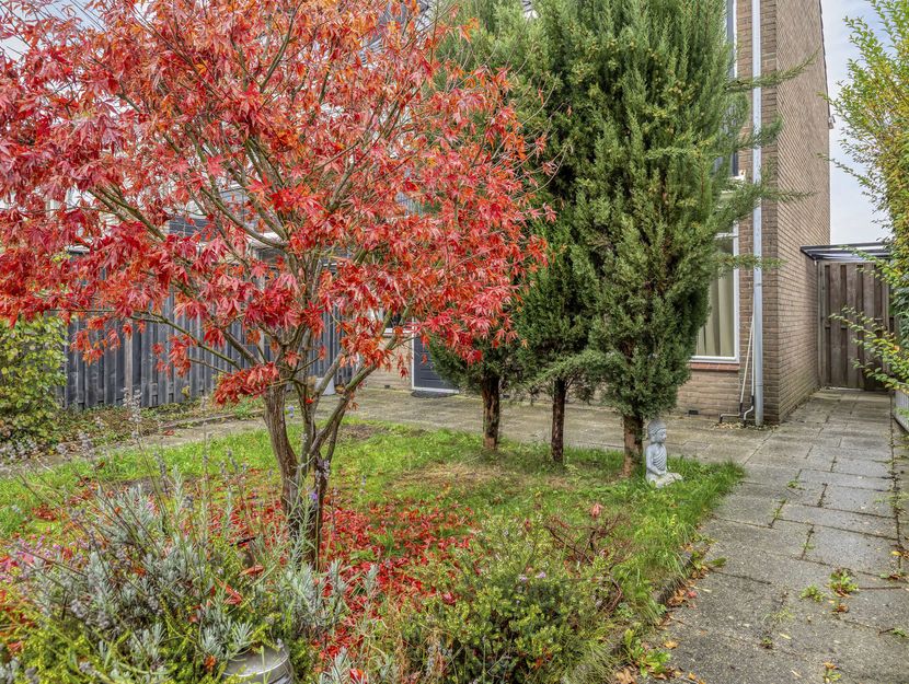 Schultz van Haegenstraat 17, HENDRIK-IDO-AMBACHT