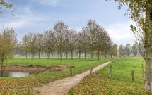 Schultz van Haegenstraat 17, HENDRIK-IDO-AMBACHT