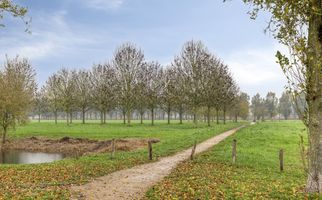 Schultz van Haegenstraat 17, HENDRIK-IDO-AMBACHT