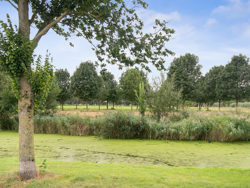 Schultz van Haegenstraat 17, HENDRIK-IDO-AMBACHT