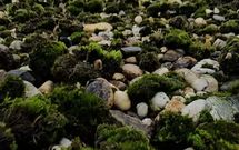 Landmanshof 4a , HENDRIK-IDO-AMBACHT