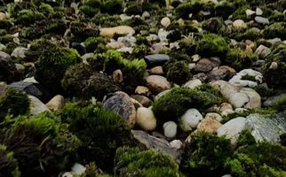 Landmanshof 4a , HENDRIK-IDO-AMBACHT