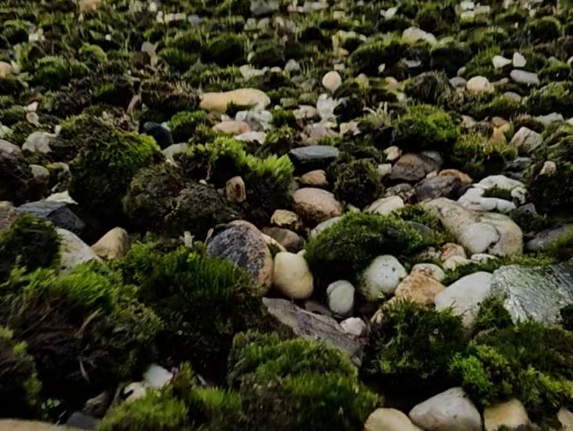 Landmanshof 4a , HENDRIK-IDO-AMBACHT