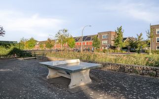 Moerasvaren 42, HENDRIK-IDO-AMBACHT