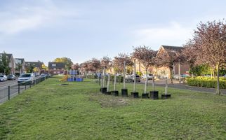 Moerasvaren 42, HENDRIK-IDO-AMBACHT