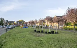 Moerasvaren 42, HENDRIK-IDO-AMBACHT