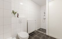 Zalm 192, HENDRIK-IDO-AMBACHT