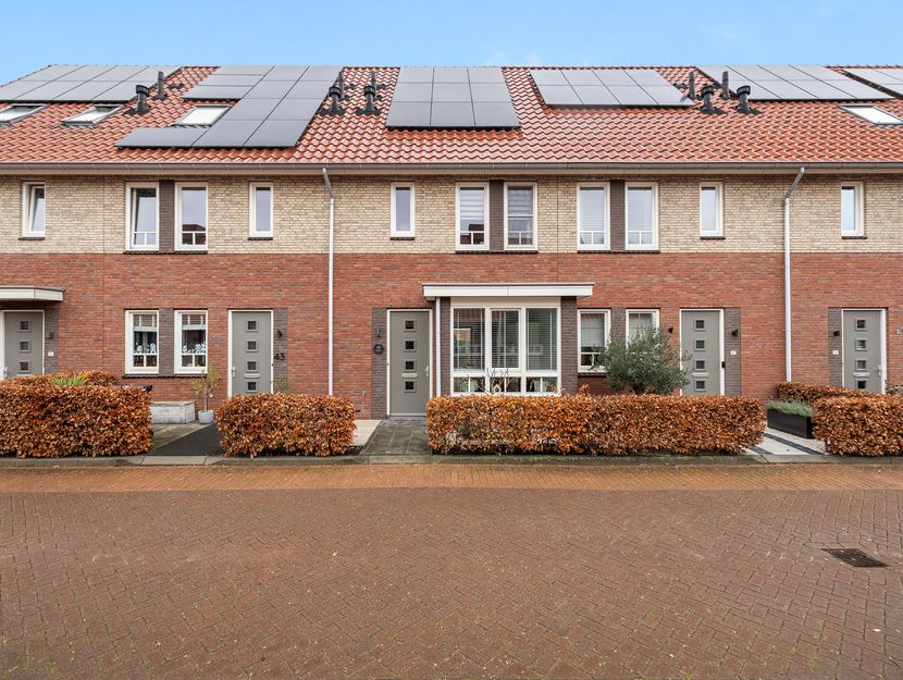 Van der Weddenhof 45, HENDRIK-IDO-AMBACHT