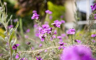 Hooftlaantje 106, HENDRIK-IDO-AMBACHT