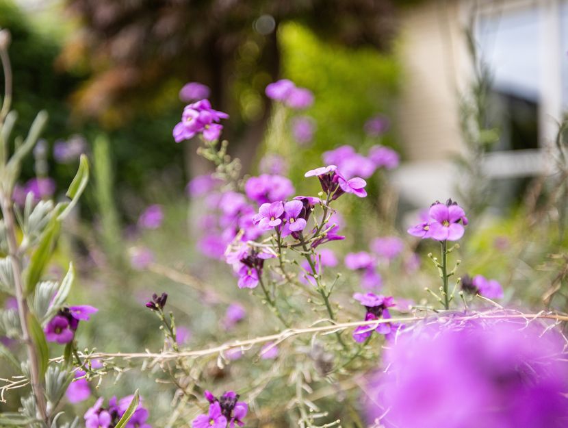 Hooftlaantje 106, HENDRIK-IDO-AMBACHT