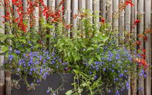 Hooftlaantje 106, HENDRIK-IDO-AMBACHT