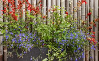 Hooftlaantje 106, HENDRIK-IDO-AMBACHT