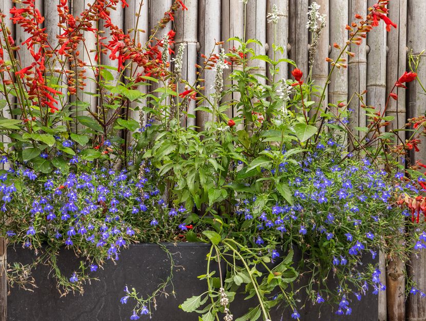 Hooftlaantje 106, HENDRIK-IDO-AMBACHT